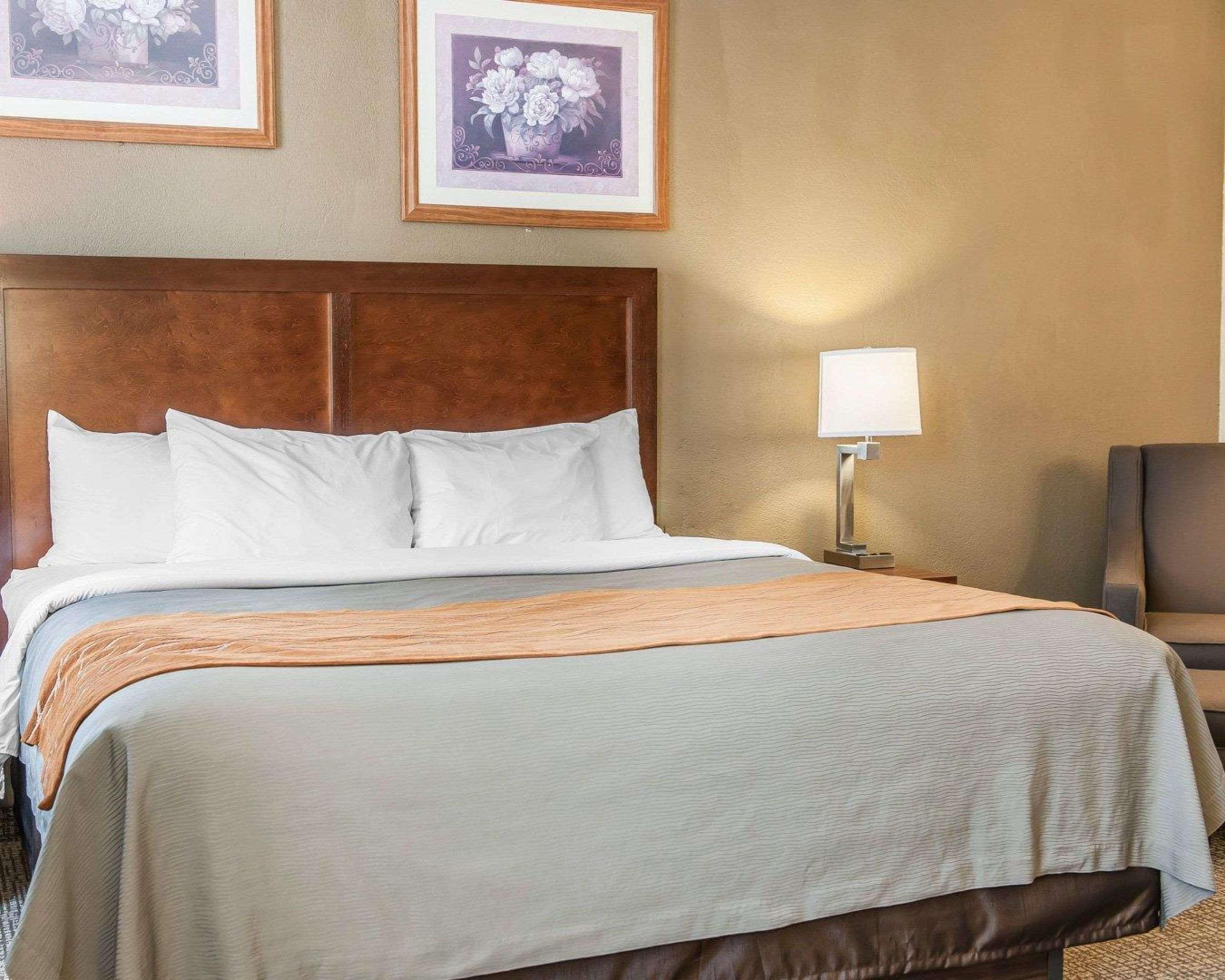 Comfort Inn Madison Dış mekan fotoğraf