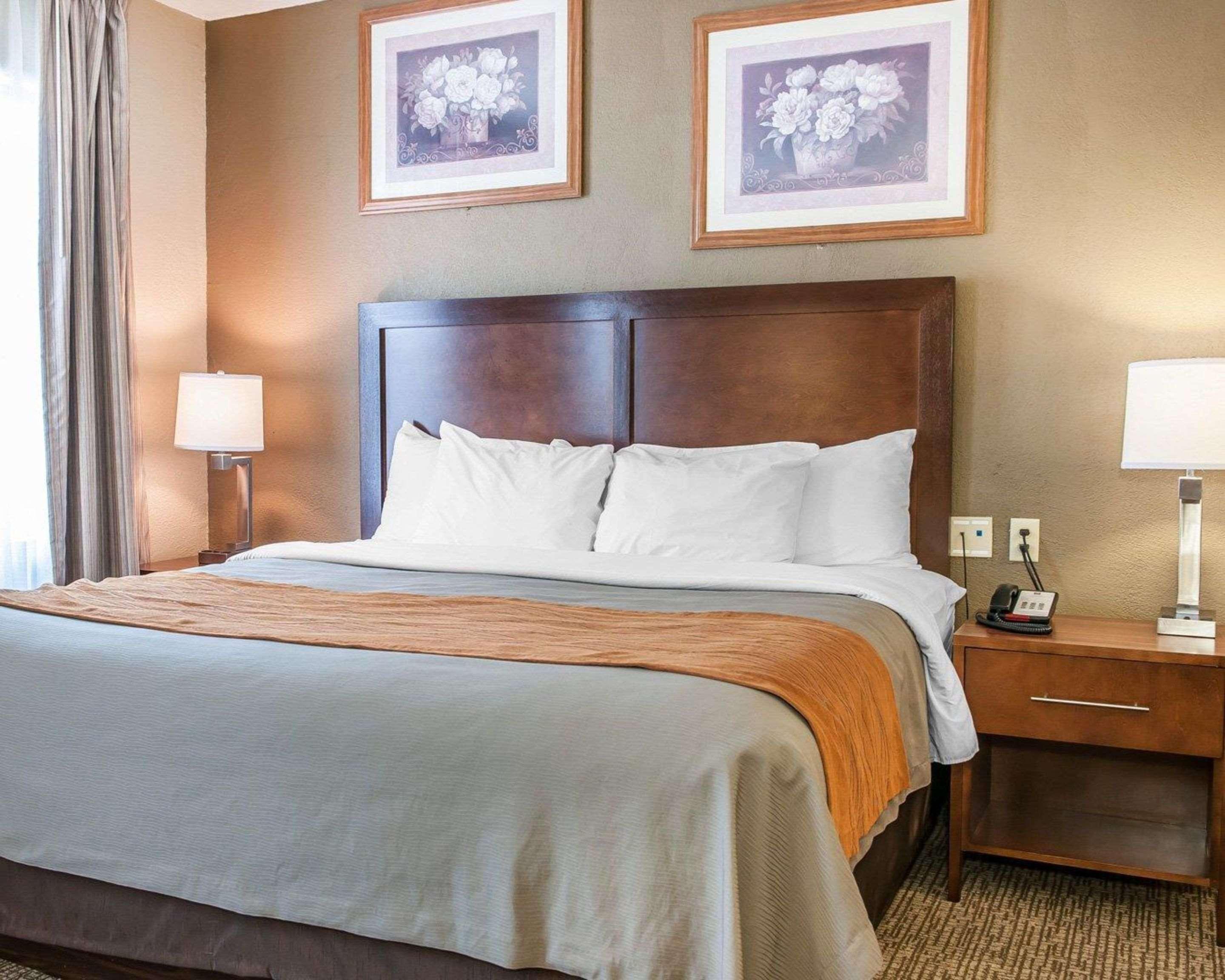 Comfort Inn Madison Dış mekan fotoğraf